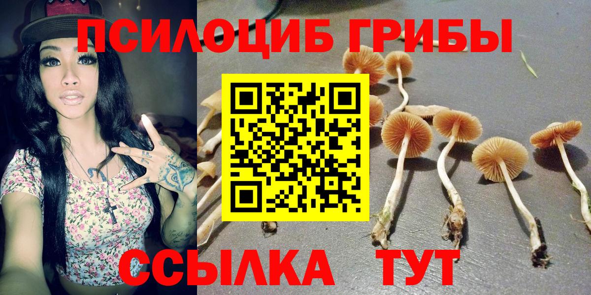 Галлюциногенные грибы ЛСД  Вход с VPN  Кудымкар 
