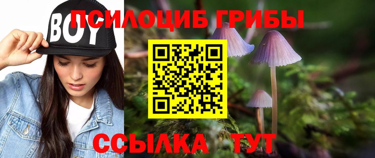 Галлюциногенные грибы Cubensis Кудымкар